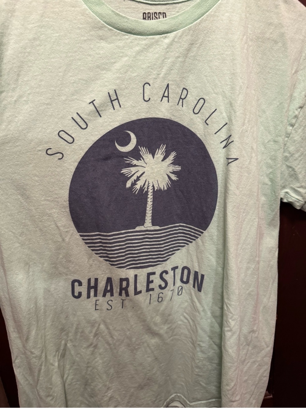 Women’s Large South Carolina Charleston Palm Cotton T‑Shirt - Light Mint